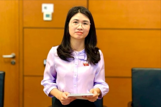 Không để lạm dụng, xin - cho khi thực hiện cơ chế xử lý khó khăn, vướng mắc do quy định pháp luật