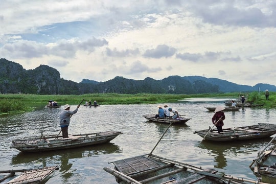 'Vịnh không sóng' ở Ninh Bình đẹp hoang sơ, có loài quý hiếm bậc nhất thế giới