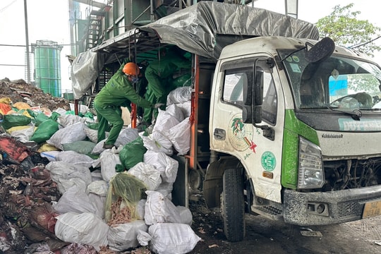 Vi phạm hàng hóa giảm, số tiền xử phạt tăng
