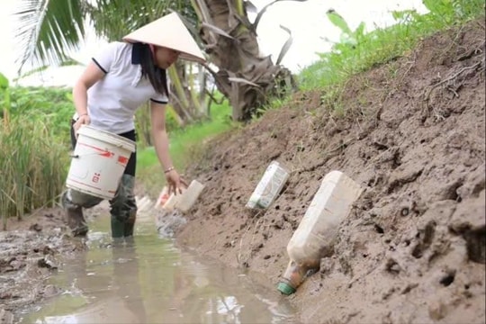 Về An Thanh trải nghiệm bắt cáy