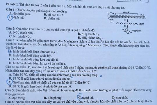 Đề thi và gợi ý giải đề thi môn sinh học kỳ thi tốt nghiệp THPT 2025