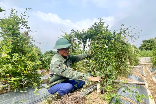 Xã vùng xa lên phường