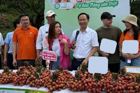 Phó Chủ tịch UBND tỉnh Bắc Ninh livestream bán 54 tấn vải trong 6 giờ