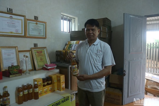 “Chắt chiu” mật ngọt giữa rừng ngập mặn của Hải Phòng