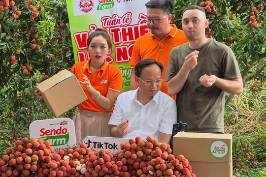 Khi lãnh đạo tỉnh livestream bán vải