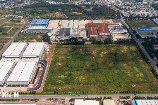 Miễn thuế sử dụng đất nông nghiệp đến hết năm 2030