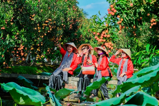Du lịch Hải Phòng - Đa sắc màu, đa trải nghiệm