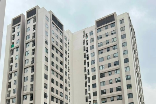 Công ty Thành Đông đầu tư trên 301,2 tỷ đồng xây dựng khu chung cư ở phường Trần Hưng Đạo