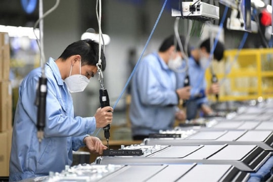 Số doanh nghiệp thành lập mới trong tháng 6 cao nhất từ trước đến nay
