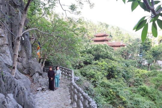 Khoanh vùng 1.800 ha bảo vệ quần thể An Phụ - Kính Chủ - Nhẫm Dương