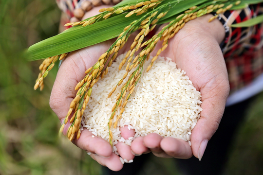 'Hạt ngọc' trời