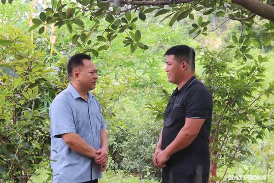 Vận hành bộ máy chính quyền ở phường có diện tích rộng nhất TP Hải Phòng