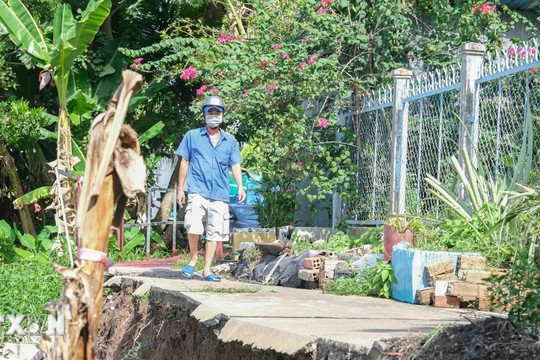 Đề nghị Hải Phòng và 28 tỉnh, thành phố bảo đảm an toàn đê điều trong mùa mưa lũ