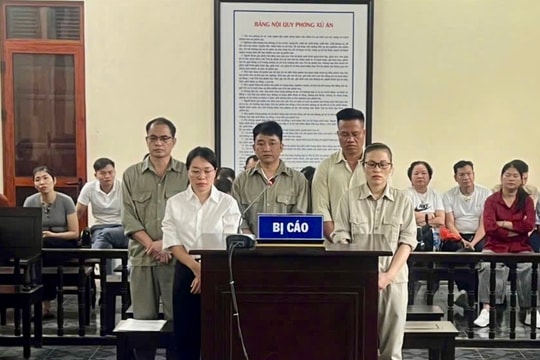 Hám lợi mua bán hóa đơn, trốn thuế
