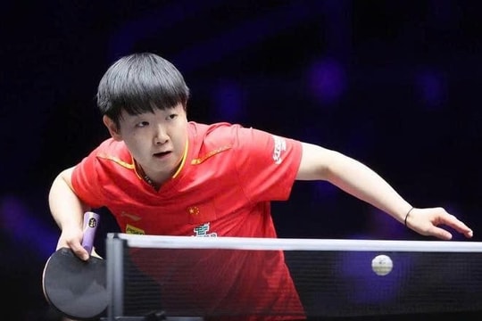 Tay vợt số một Trung Quốc bị loại sốc ở Grand Slam bóng bàn