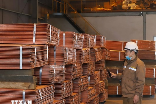 Mỹ áp thuế 50% với đồng nhập khẩu tác động không đáng kể tới Việt Nam