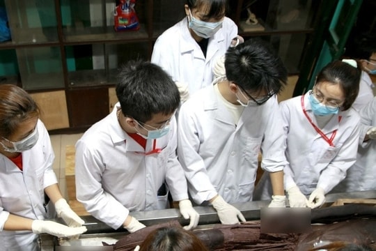 272 thí sinh đầu tiên trúng tuyển Trường Đại học Y Hà Nội