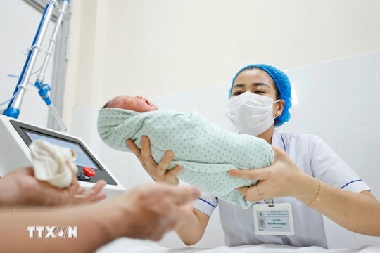 Quy định mới về mang thai hộ và hỗ trợ sinh sản có hiệu lực từ 1/10