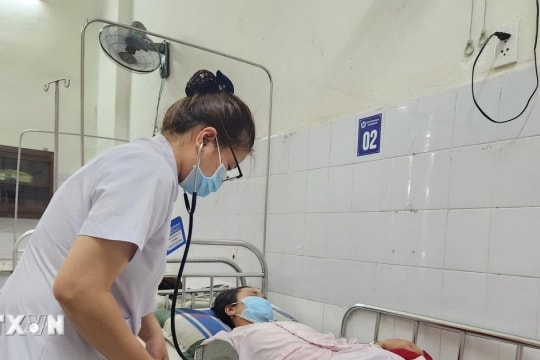 Khuyến cáo của Bộ Y tế về phòng, chống bệnh liên cầu lợn ở người