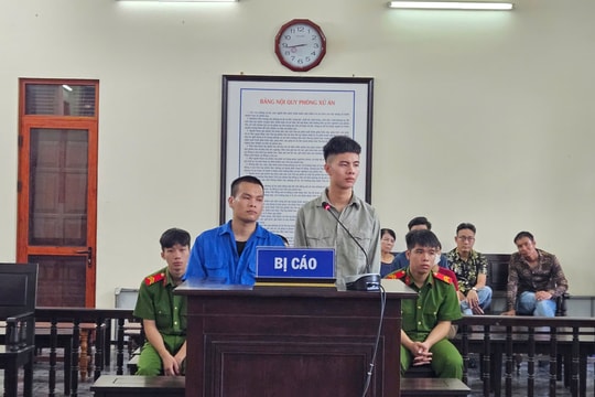 Mua bán ma tuý tẩm trong sợi thực vật khô, hai đối tượng lĩnh án