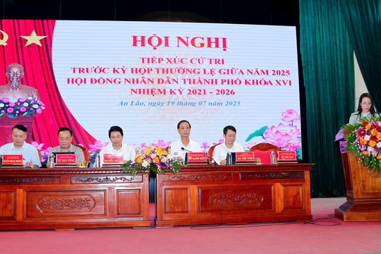 Cử tri đề nghị thành phố quan tâm nâng cấp hệ thống đê điều và môi trường nông thôn