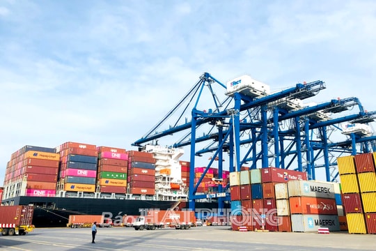 Securing equipment and lowering containers at Hai Phong port yards ahead of Storm Wipha