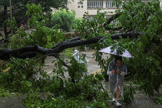 Bão WIPHA quét qua miền Nam Trung Quốc, đặc khu Hong Kong bị thiệt hại