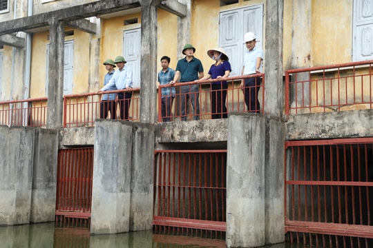 Bảo vệ lúa mùa mới cấy, rau màu