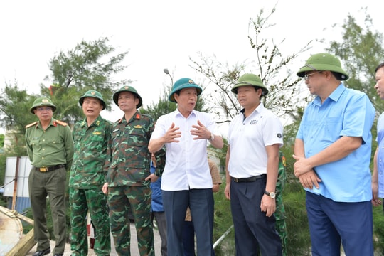 Bí thư Thành ủy Lê Tiến Châu kiểm tra công tác phòng chống bão số 3 tại đặc khu Cát Hải