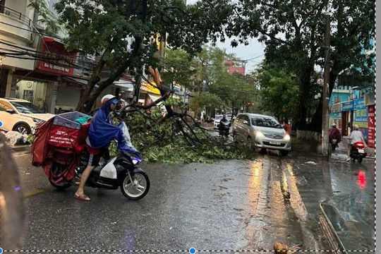 Bão WIPHA và trách nhiệm của chính quyền địa phương mới