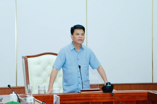 Hải Phòng họp trực tuyến với 114 điểm cầu chỉ đạo về phòng chống bão số 3