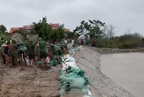 Đặc khu Cát Hải khẩn trương gia cố đê phòng chống hoàn lưu bão số 3