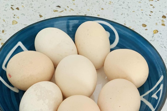 Điều gì xảy ra với cơ thể khi bạn ăn 3 quả trứng mỗi ngày?