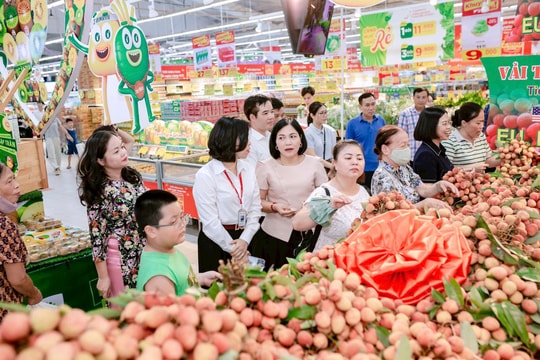Liên kết tiêu thụ nông sản Hải Phòng
