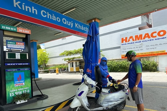 E10 biofuel sales to begin in Hai Phong on Aug 1