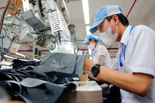 Chuyên gia cho rằng thuế thu nhập cá nhân chỉ nên tối đa 20 - 25%
