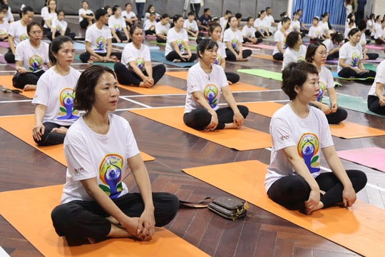 Hơn 300 hội viên tham dự Ngày Quốc tế Yoga năm 2025 tại thành phố Hải Phòng