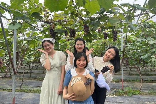 Enjoyable experience in the heart of Hai Phong city