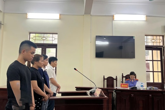 Mua, bán giấy khám sức khoẻ giả, 4 đối tượng lĩnh án