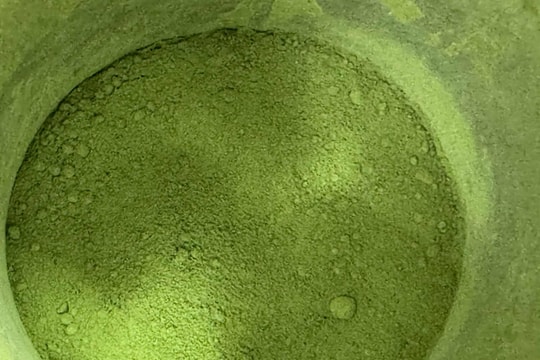 Chúng ta đang uống nhiều matcha đến mức nguồn cung sắp cạn kiệt