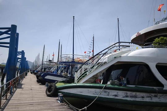 Khách vẫn né vịnh Hạ Long sau vụ lật tàu Vịnh Xanh