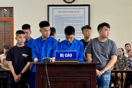 7 thanh thiếu niên lĩnh án vì tội gây rối, đuổi đánh người đi đường