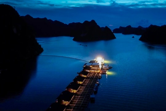 Trải nghiệm ngủ đêm trên nhà bè giữa vịnh Lan Hạ (Hải Phòng)