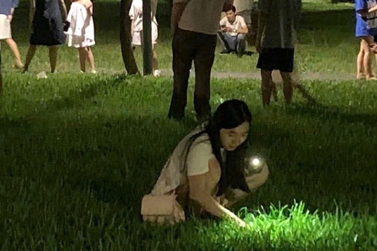 Cặp vợ chồng rơi nhẫn kim cương, người dân soi đèn tìm giúp trong đêm