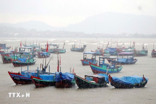 Xuất hiện vùng áp thấp, khu vực biển ven bờ Quảng Ninh - Hải Phòng có mưa dông