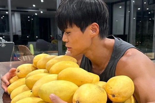 Tác dụng của loại quả được nhiều người Hàn Quốc tìm mua khi tới Việt Nam