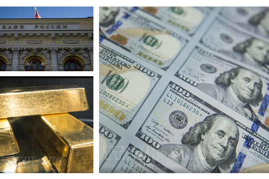 Dự trữ ngoại hối của Liên bang Nga đạt mức cao nhất