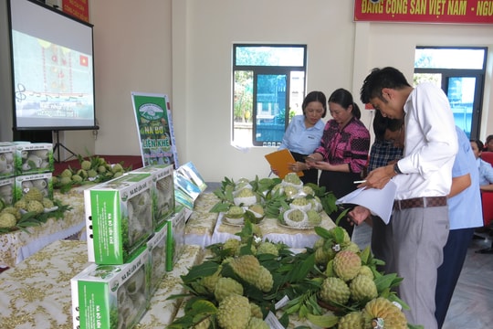 Trung tâm Khuyến nông Hải Phòng tôn vinh người trồng na bở An Sơn - Liên Khê