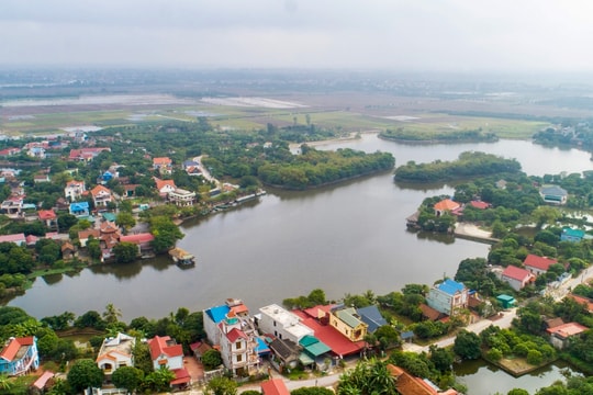 Diện mạo mới ở Đảo Cò Nam Thanh Miện