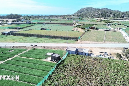 Thủ tướng làm Trưởng Ban Chỉ đạo xây dựng nhà máy điện hạt nhân